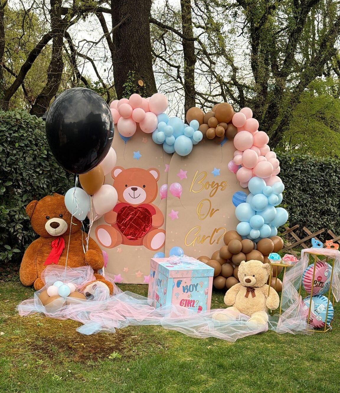 Allestimento per Gender Reveal Party, tema orsacchiotti